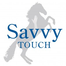 Savvy Touch
